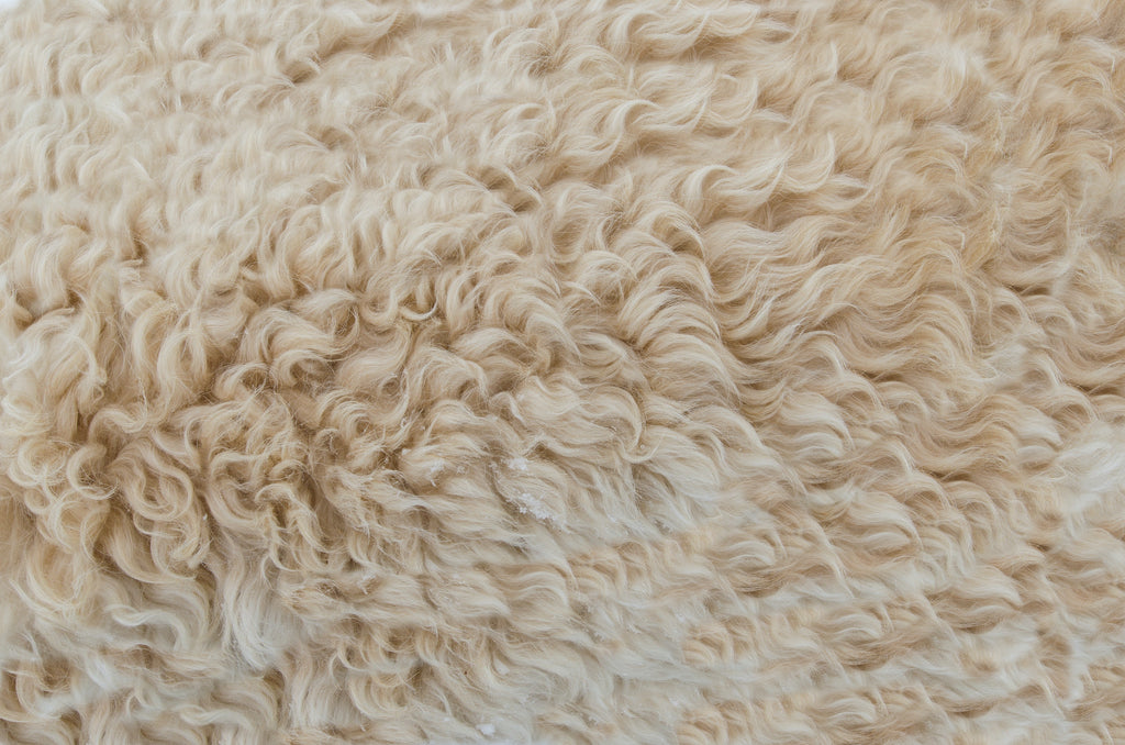 Organic Wool