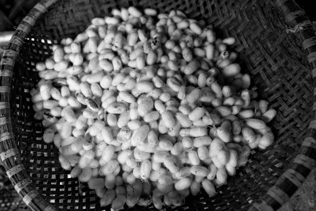 Silkworm Farm: China